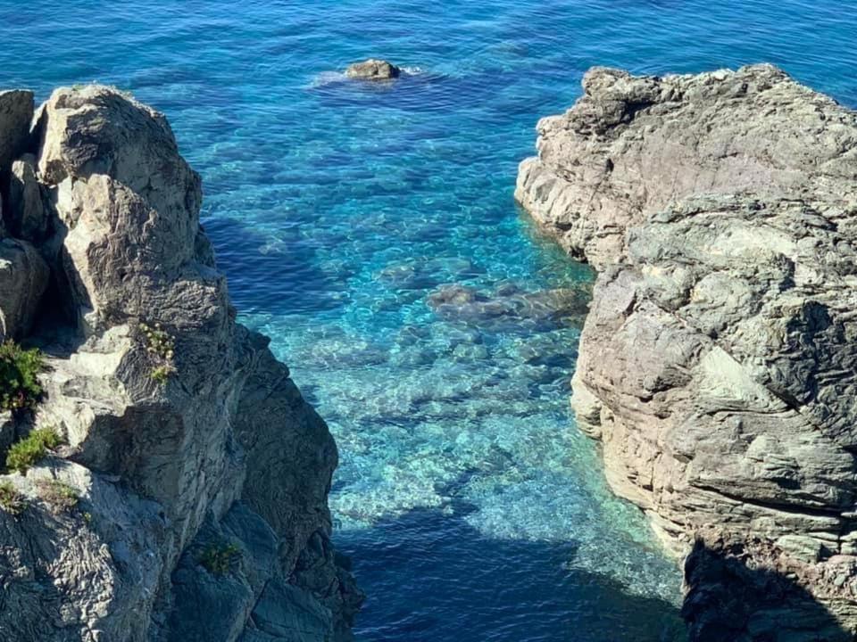 B&B Calabria Mare Falerna Dış mekan fotoğraf
