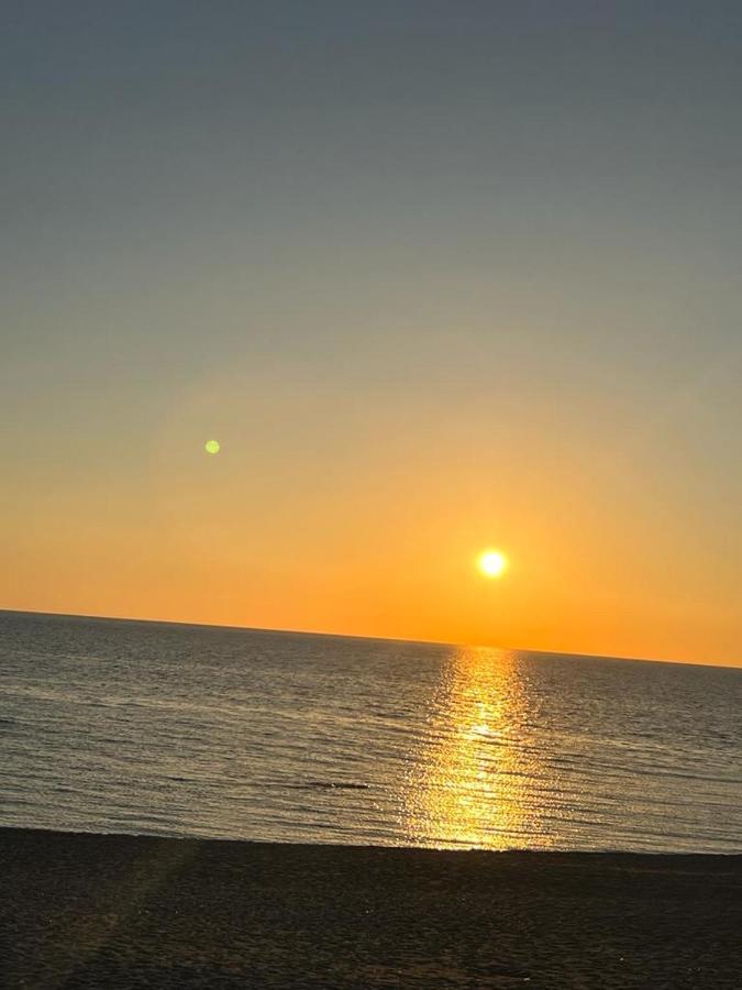 B&B Calabria Mare Falerna Dış mekan fotoğraf