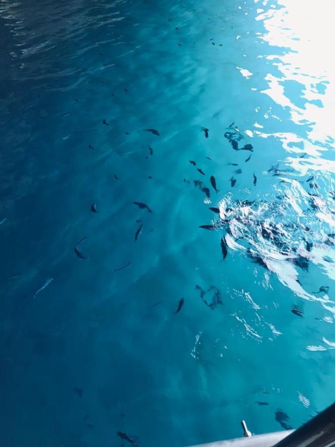 B&B Calabria Mare Falerna Dış mekan fotoğraf