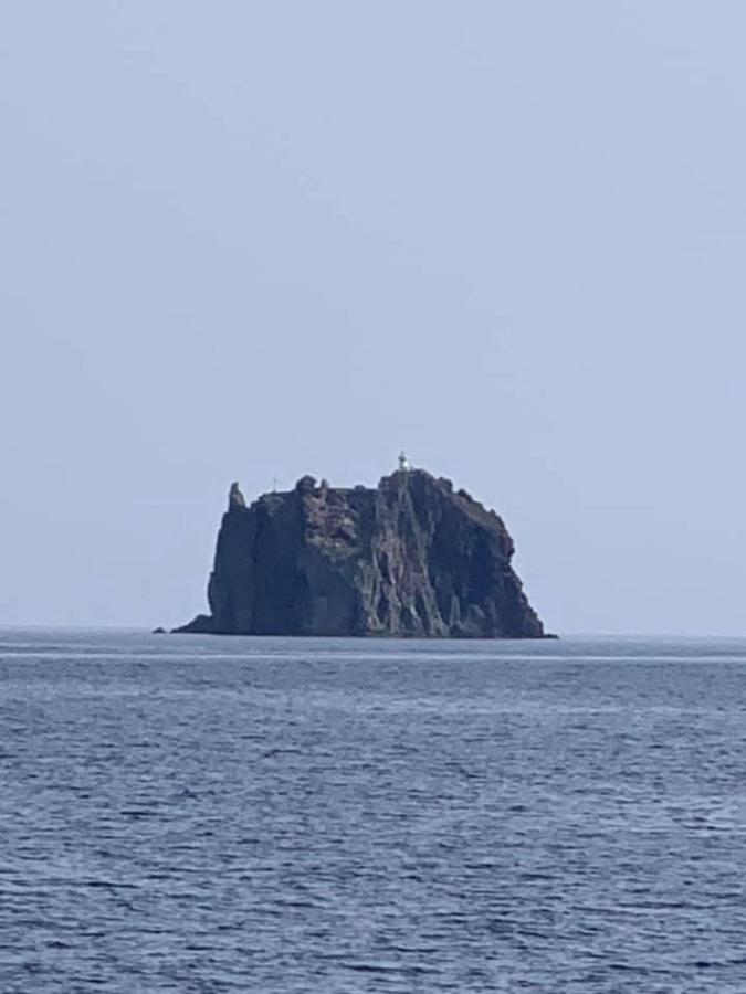 B&B Calabria Mare Falerna Dış mekan fotoğraf