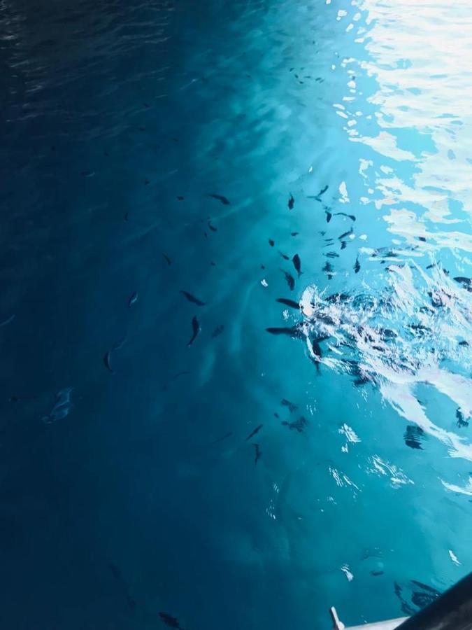 B&B Calabria Mare Falerna Dış mekan fotoğraf